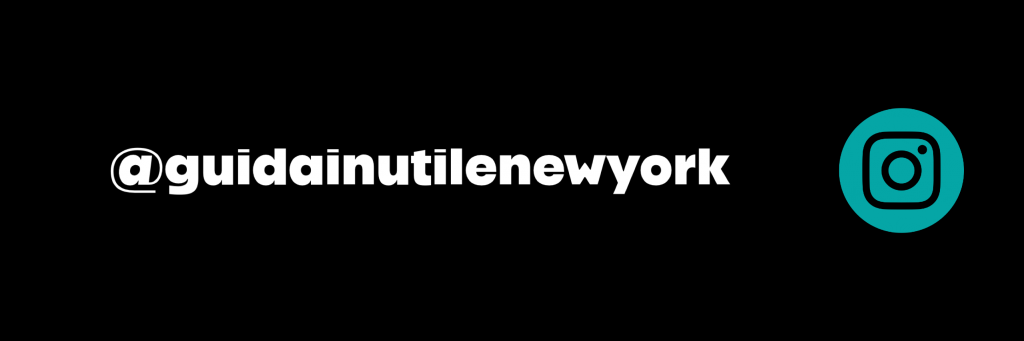GUIDA INUTILE NEW YORK tours, follow me on Instagram
