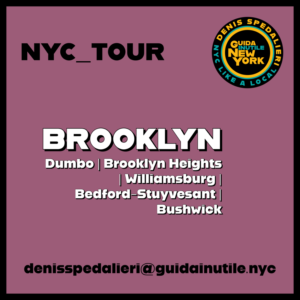 New York City tour in BROOKLYN. Dumbo, Brooklyn Heights, Williamsburg, Bedford-Stuyvesant, Bushwick.